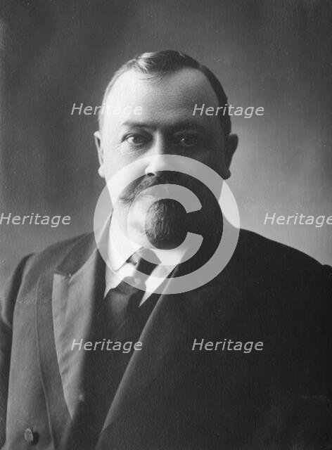 Member of the exhibition bureau Ya.I. Korvin-Krukovsky, 1911. Creator: A. A. Antonov.