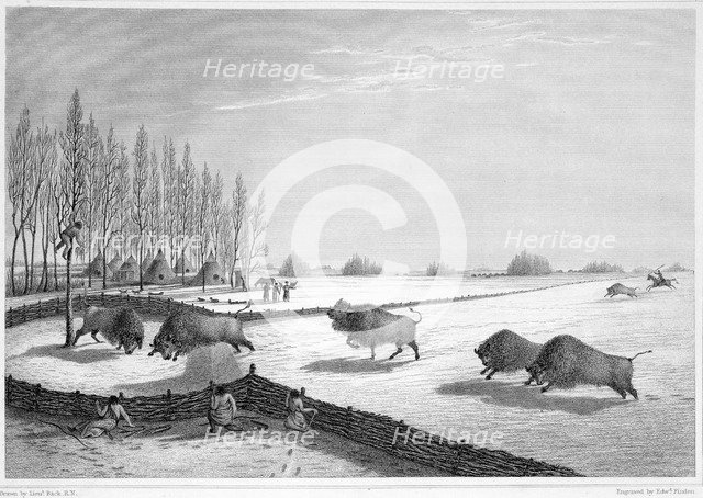 A buffalo pound, Canada, c1819-1822 (1823). Creator: Edward Finden.