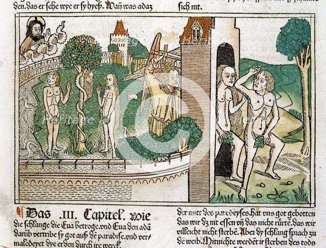 Engraving showing Adam and Eve in paradise, scene in the Bible of Nuremberg, German edition 1483.