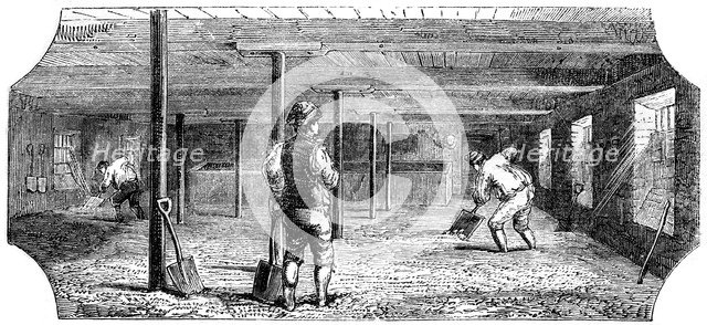 Steeping, couching and flooring malt, 1886. Artist: Unknown