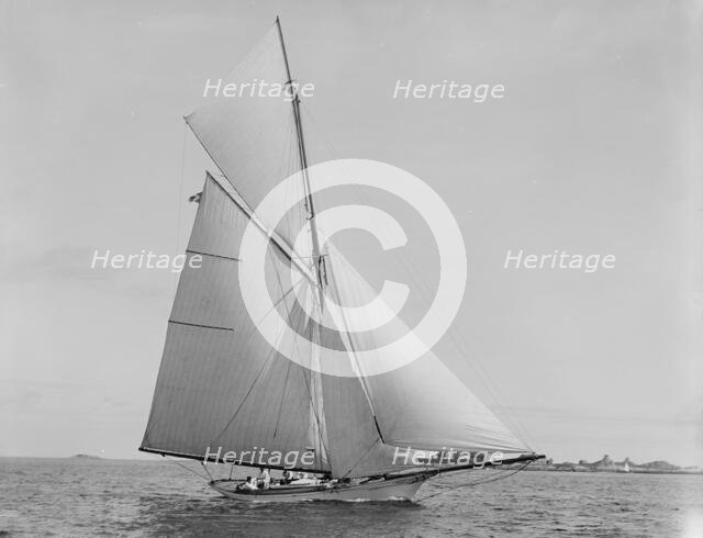 Hawk, Sept. 5, 1892, 1892 Sept 5. Creator: Unknown.