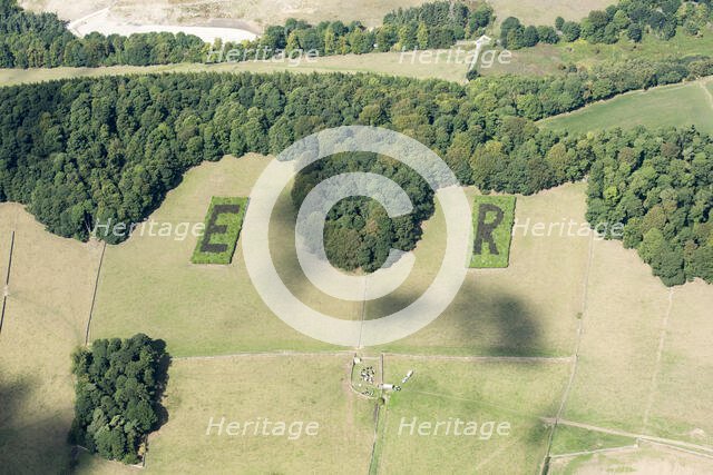 ER plantations, trees planted to mark the Golden Jubilee of Queen Elisabeth, Derbyshire, 2018. Creator: Emma Trevarthen.