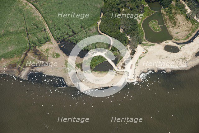 Abbotsbury Swannery, Dorset, 2014. Creator: Historic England Staff Photographer.