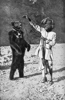 A Punjabi native with a dancing bear, India, 1922.Artist: Robert Chisham