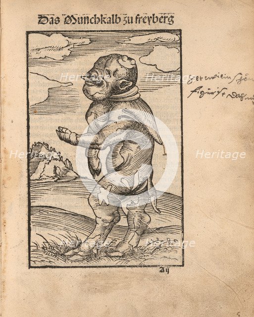 Monk Calf of Freiberg (Das Mönchskalb zu Freiberg), 1523.