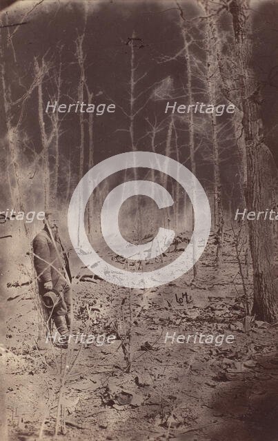 The Wilderness Battlefield, near Spotsylvania, Virginia, 1865 (?). Creator: Unknown.