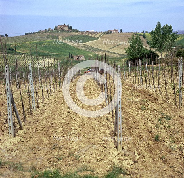 Cultivating vines in Tuscany Artist: Unknown