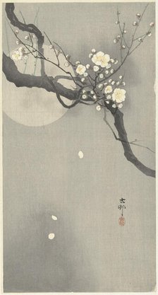Plum blossom and full moon. Creator: Ohara, Koson (1877-1945).