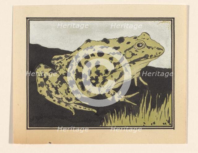 Frog, 1887-1924. Creator: Julie de Graag.