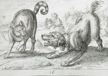 A Dog Fighting a Cat, 1610. Creator: Hendrick Hondius I.