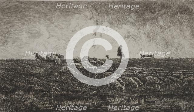 The Shower, c. 1851. Creator: Charles François Daubigny (French, 1817-1878).