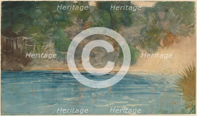 Blue Spring, Florida, 1890. Creator: Winslow Homer.