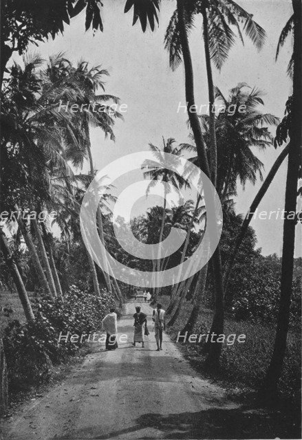 'A Path Through Paddy Fields', c1890, (1910). Artist: Alfred William Amandus Plate.