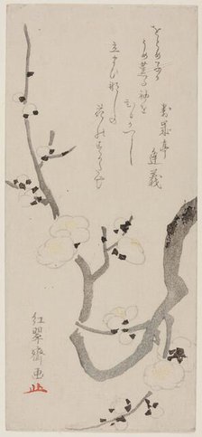 Plum Branch, Japan, late 18th century. Creator: Kitao Shigemasa.