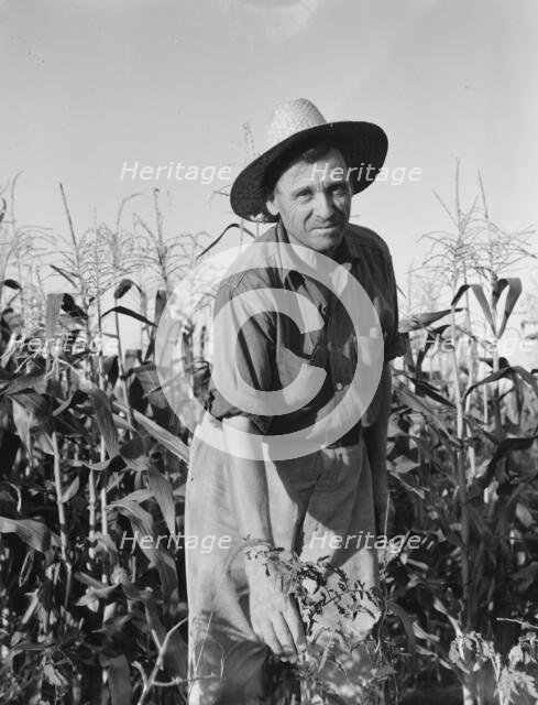 Drought refugee..., Yakima Valley, Washington, 1939. Creator: Dorothea Lange.