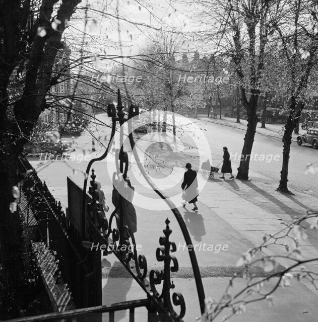 A view south-west on South Grove, Highgate, London, 1955 - 1965. Creator: John Gay.