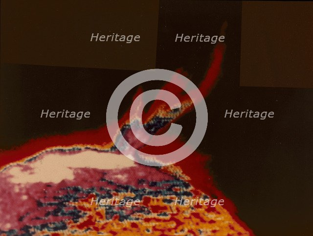 False colour image of a solar flare from Skylab, 1973. Artist: Unknown