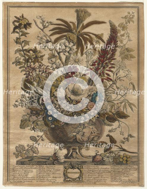 Twelve Months of Flowers: December, 1730. Creator: Henry Fletcher (British, active 1715-38).