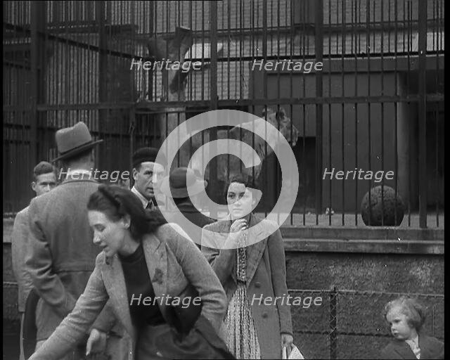 British People at the Zoo, 1940. Creator: British Pathe Ltd.