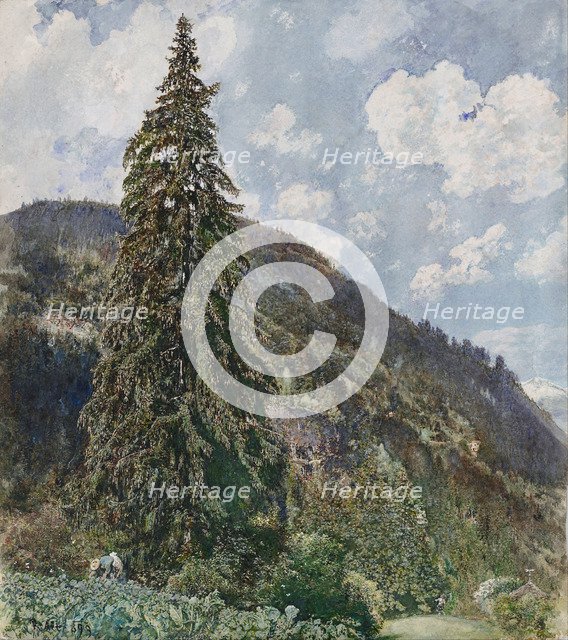 The old Spruce in Bad Gastein, 1899. Artist: Alt, Rudolf von (1812-1905)