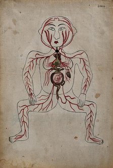 The arteries of the human body with a foetus in the womb, (between 1800 and 1899?). Creator: Unknown.