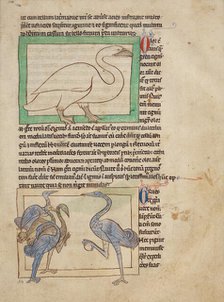 A Swan; Cranes; Northumberland Bestiary, about 1250-1260. Creator: Unknown.