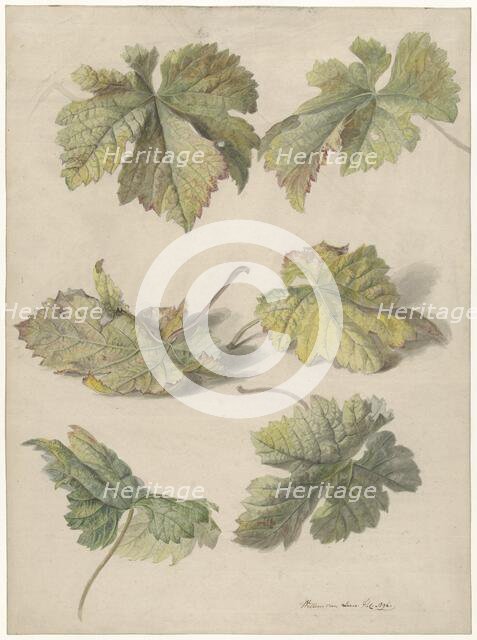 Studies of vine leaves, 1796. Creator: Willem van Leen.