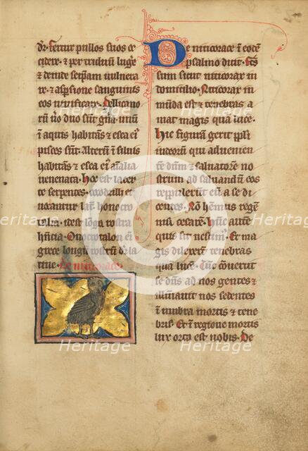 A Night Heron; De Natura Avium; De Pastoribus et Ovibus; Bestiarium, 1277 or after. Creator: Unknown.