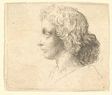 Head of young man with long hair in profile to the left, 1644-52. Creator: Wenceslaus Hollar.