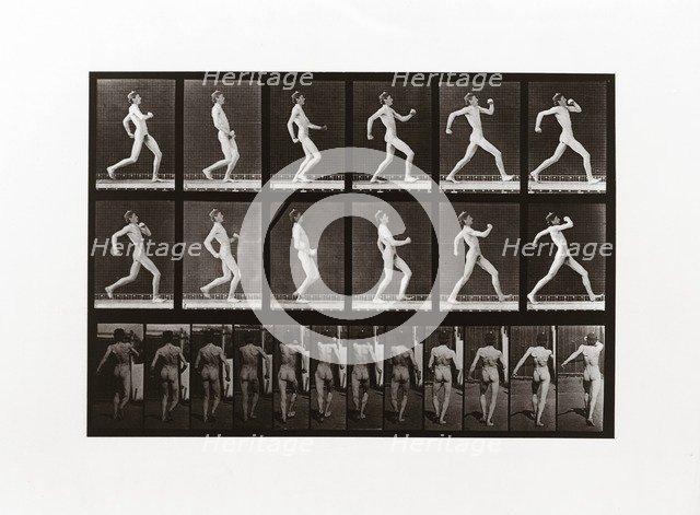 Man running, Plate 7 from Animal Locomotion, 1887 (photograph)