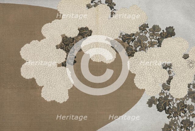 Kiku (Chrysanthemum). From the series "A World of Things (Momoyogusa)", 1909-1910. Creator: Sekka, Kamisaka (1866-1942).