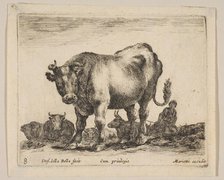 Plate 8: ox, from 'Various animals' (Diversi animali), ca. 1641. Creator: Stefano della Bella.