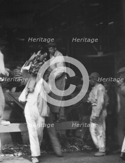 Unloading bananas, New Orleans, between 1920 and 1926. Creator: Arnold Genthe.