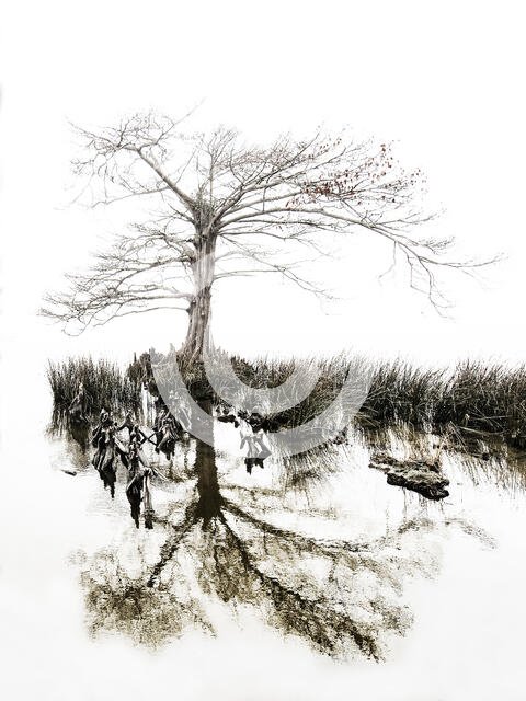 Aging Gracefully. Creator: Eve Turek.