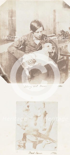 Johnny and Drum; Dead Game, 1853-56. Creator: John Dillwyn Llewelyn.