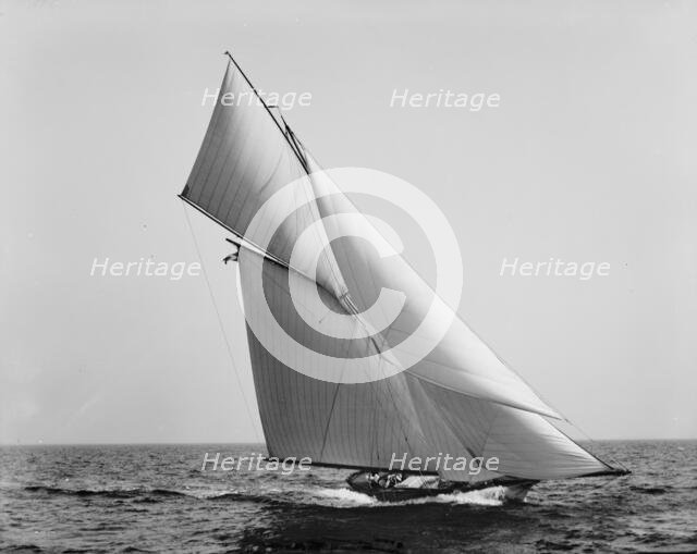 Hawk, 1890 June 8. Creator: Unknown.