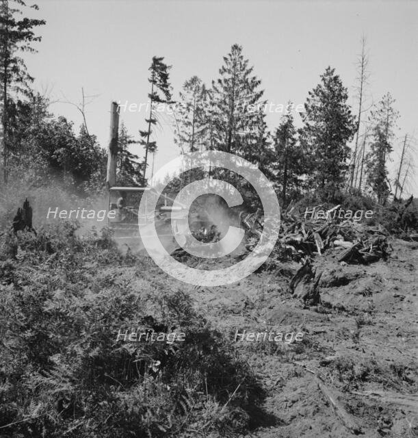 Bulldozer clearing and pushing stumps..., near Vader, Lewis County, Western Washington, 1939. Creator: Dorothea Lange.