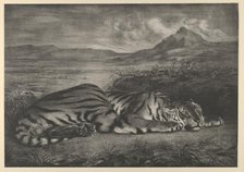 Royal Tiger, 1829., 1829. Creator: Eugene Delacroix.