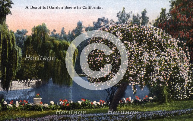 'A Beautiful Garden Scene in California', USA, 1915. Artist: Unknown
