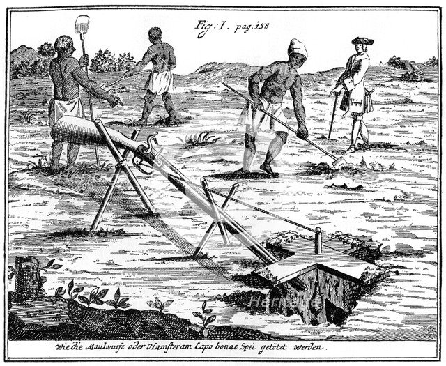 Khoikhois catching moles, South Africa, 18th century (1931). Artist: Unknown