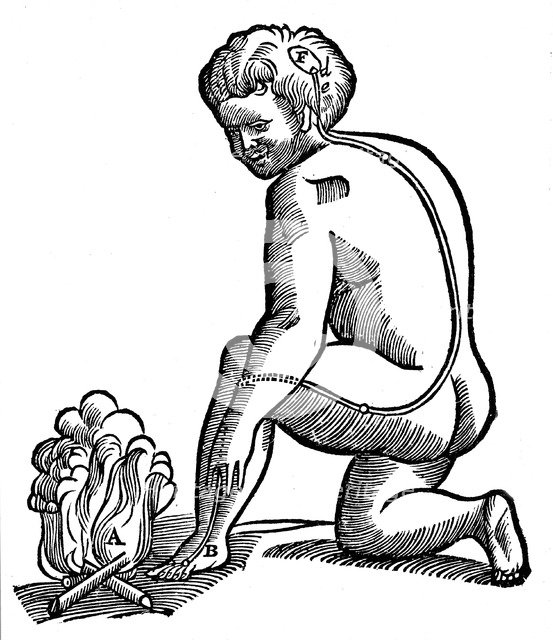 Involuntary movement, Descartes' idea of how impulses from the limbs reach the brain, 1692. Artist: Unknown