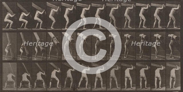 Man Lifting Beam: Plate 383, 1887. Creator: Eadweard J Muybridge.