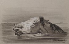 Head of a Swimming Horse, c1865. Creator: Nicolai Egorovich Sverchkov.
