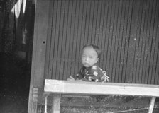 Travel views of Japan and Korea, 1908. Creator: Arnold Genthe.