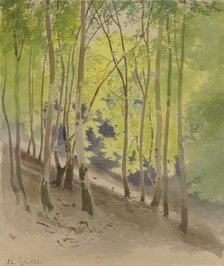 Forest slope, 1856. Creator: Carl Theodor Reiffenstein.