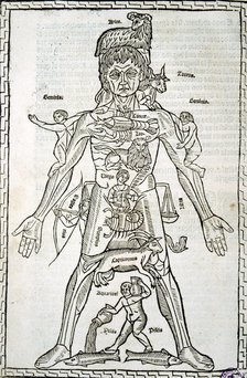Male body with signs of the Zodiac, sheet in the work 'Epilogue of medicine and surgery suitable …