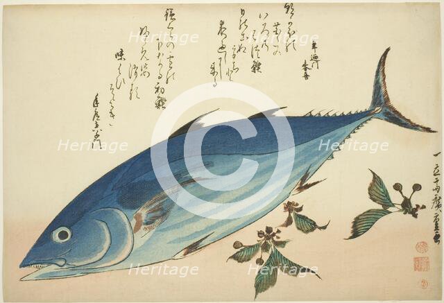 Bonito and saxifrage, from an untitled series of fish, c. 1832/33. Creator: Ando Hiroshige.
