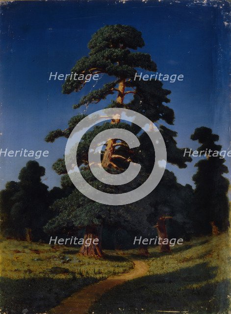 Pine Tree. Artist: Kuindzhi, Arkhip Ivanovich (1842-1910)