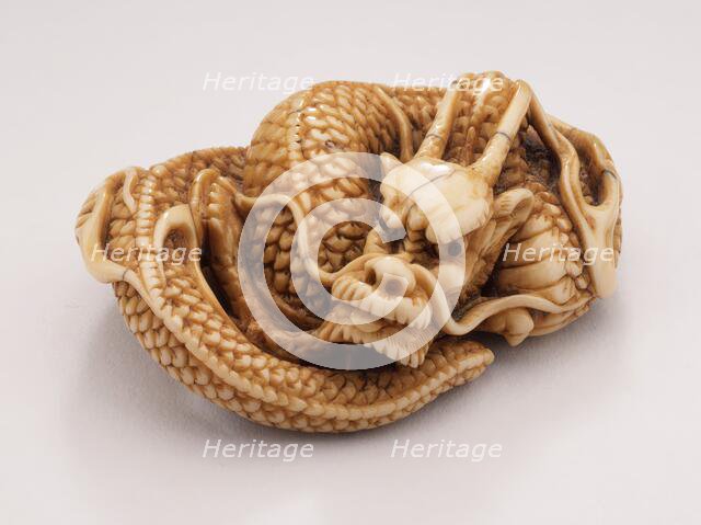 Coiled Dragon, 18th century. Creator: Tomotada.