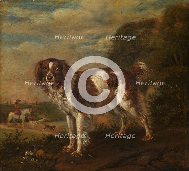 A spaniel, 1653. Creator: Paulus Potter.